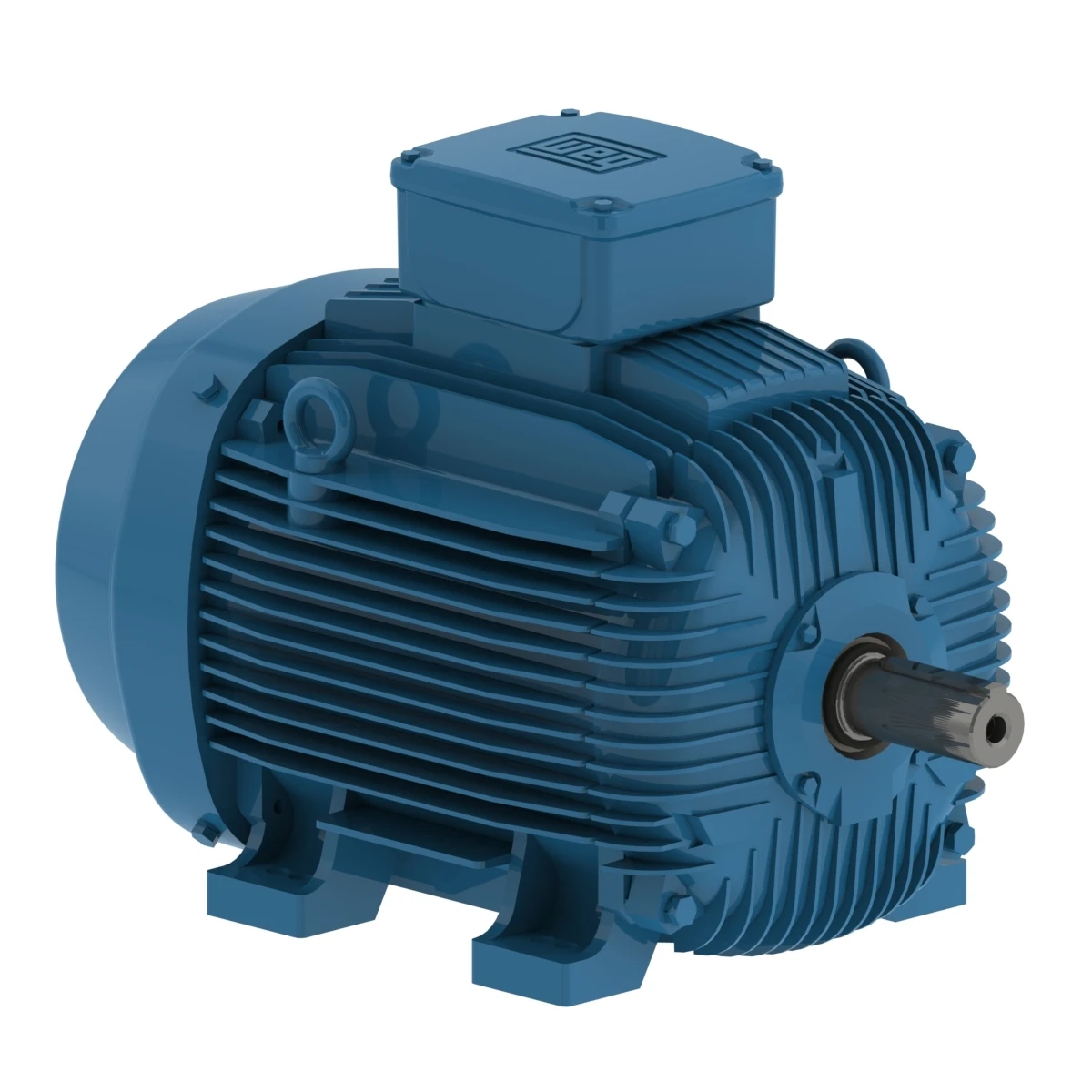 WEG W21 Series Motor