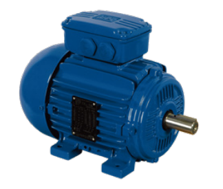 WEG W21 Ex ec Non-sparking Motor