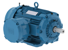 WEG W22 Ex d Explosion Proof Motor