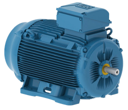 WEG W22 Ex tb Explosion Proof Motor